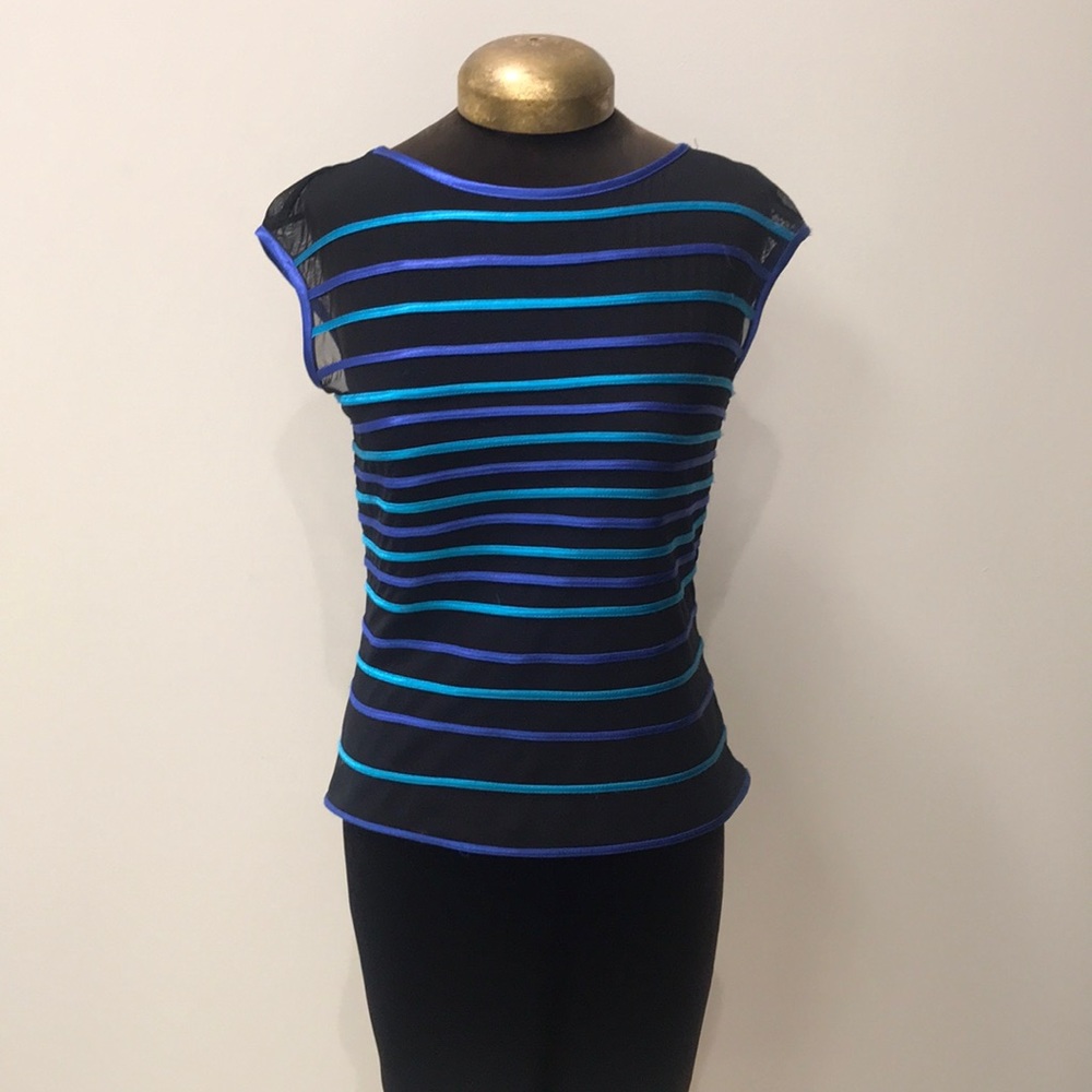 Teal and dark blue stripped mesh short sleeve top